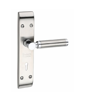 Stainless Steel Locks Manufacturers